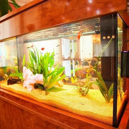 Atlanta Budget Darmstadt