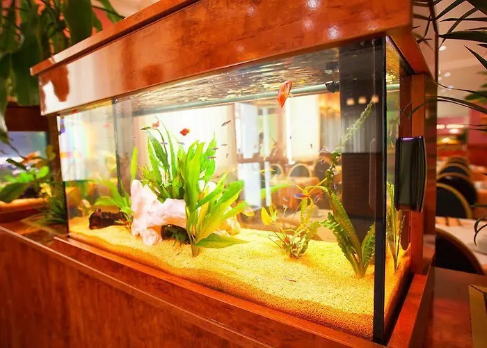 Atlanta Budget دارمشتاد